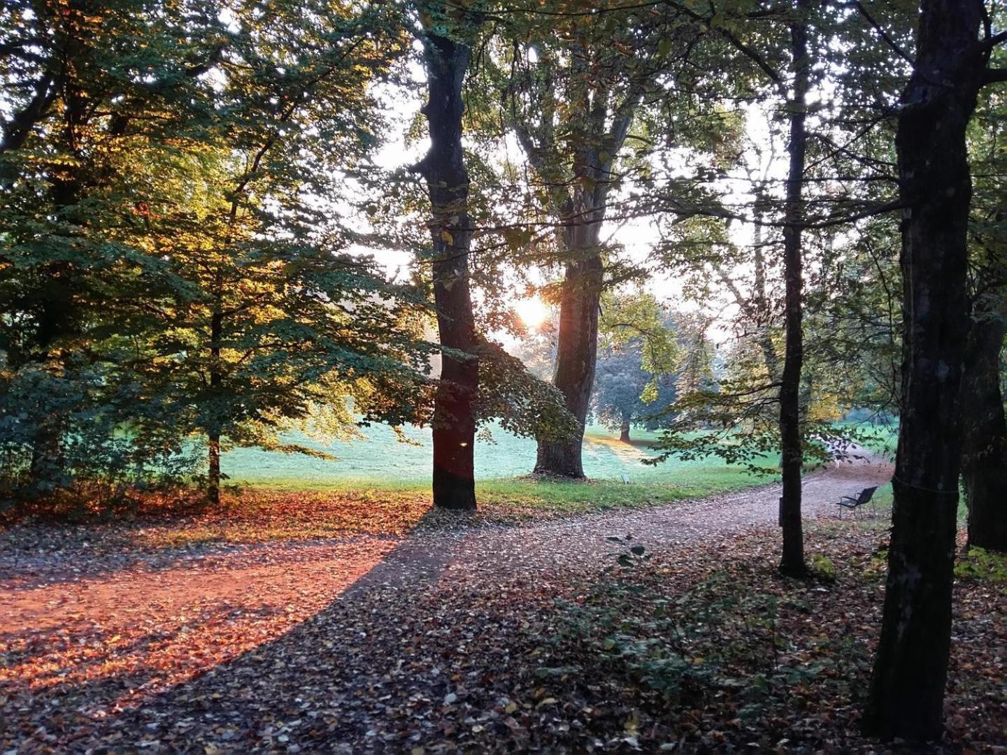 La Maisonnette Du Parc Ле-Крезо Екстер'єр фото